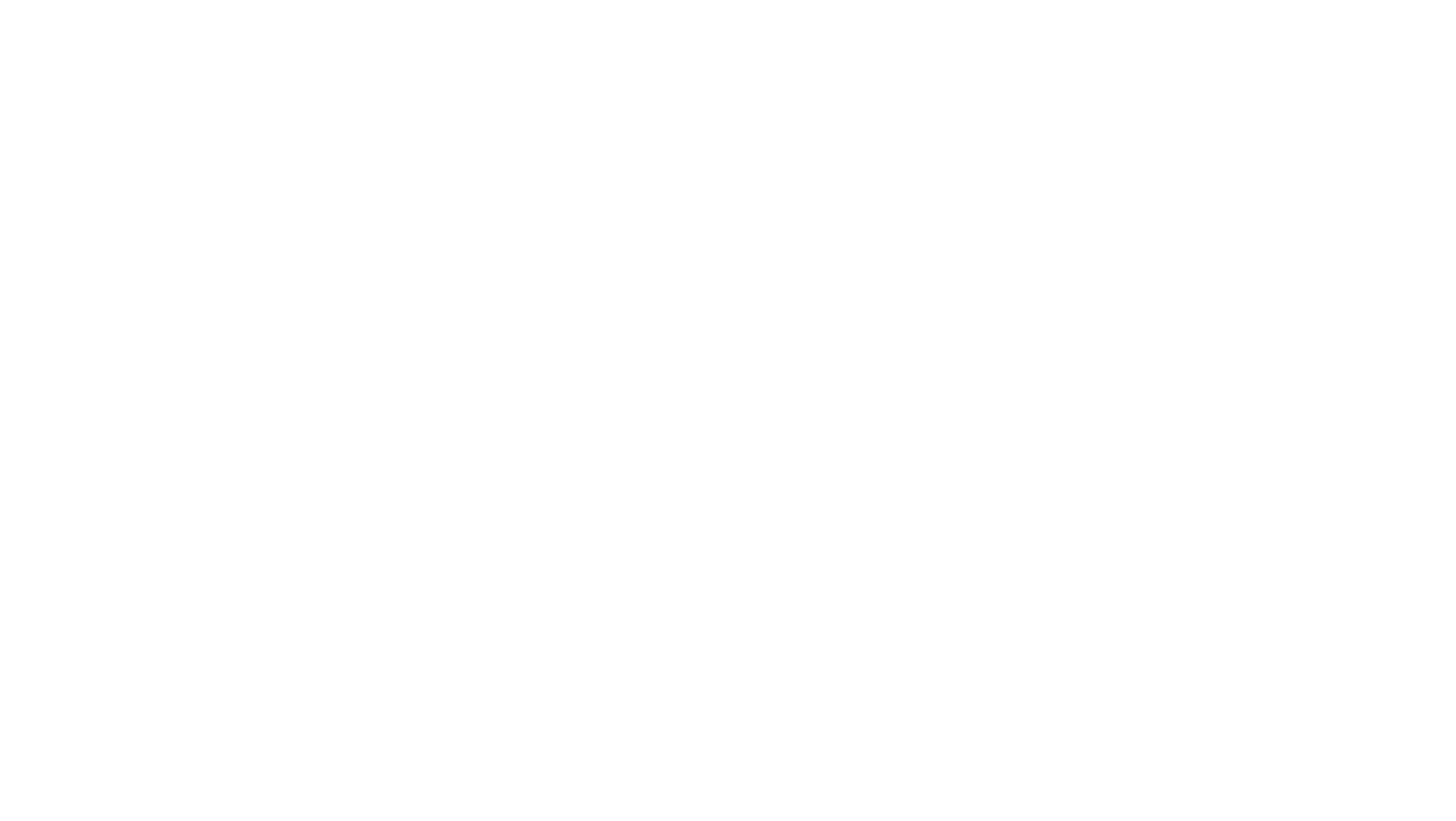 Pajaj Holding